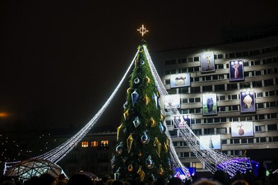 Panevėžio eglė, Ž. Večiorkutės nuotr.