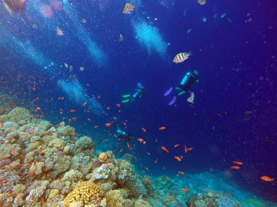 Mėlynoji skylė arba povandeninė smegduobė