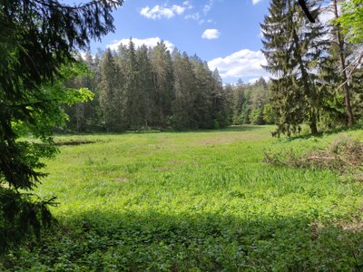 Pavilnių ir Verkių regioninių parkų direkcijos nuotr.