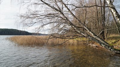 Siesarties ežeras vėlų rudenį