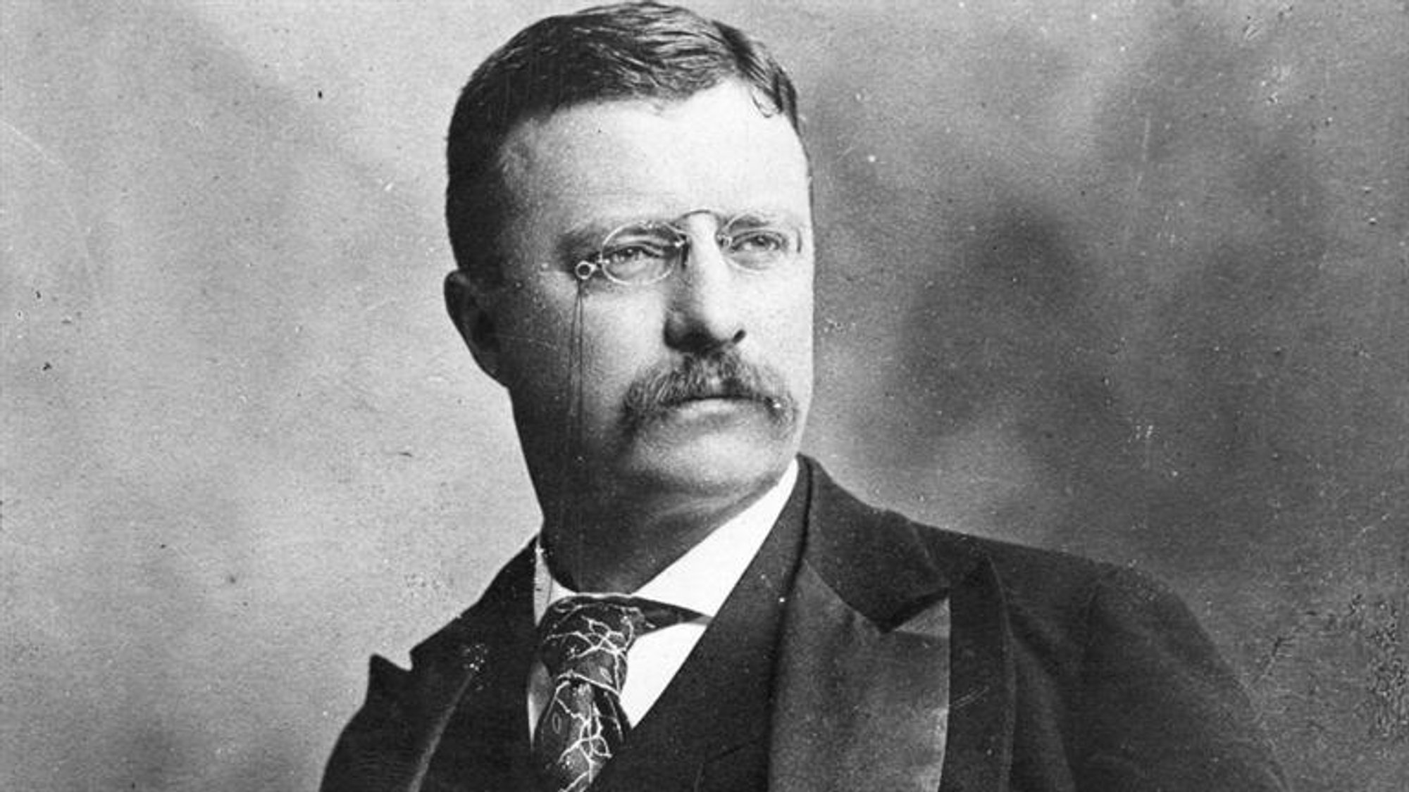 theodore roosevelt net worth at death - Ilustrasi 2
