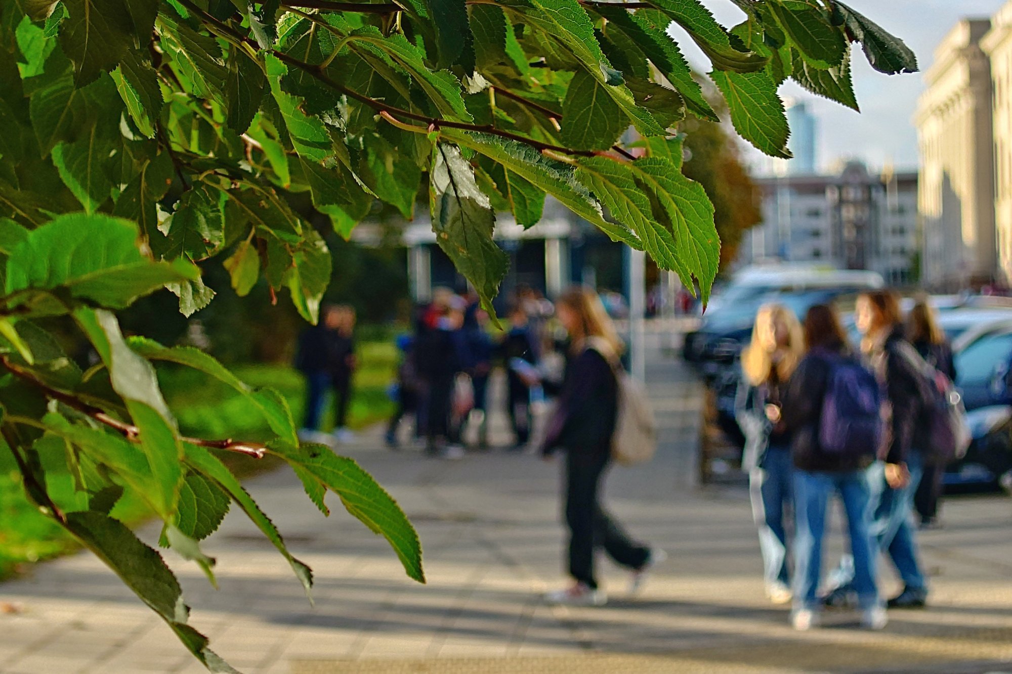 Intelligence agency: bomb threats are a coordinated and deliberate