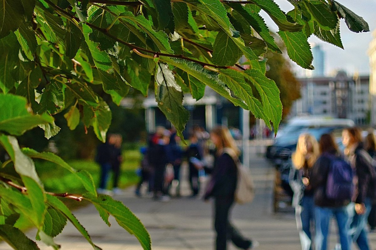 Intelligence agency: bomb threats are a coordinated and deliberate