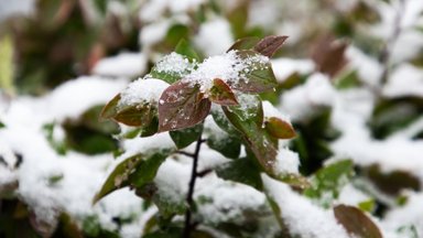 Sulauksime orų pokyčių: šią savaitę turėtume išvysti ir pirmąjį sniegą