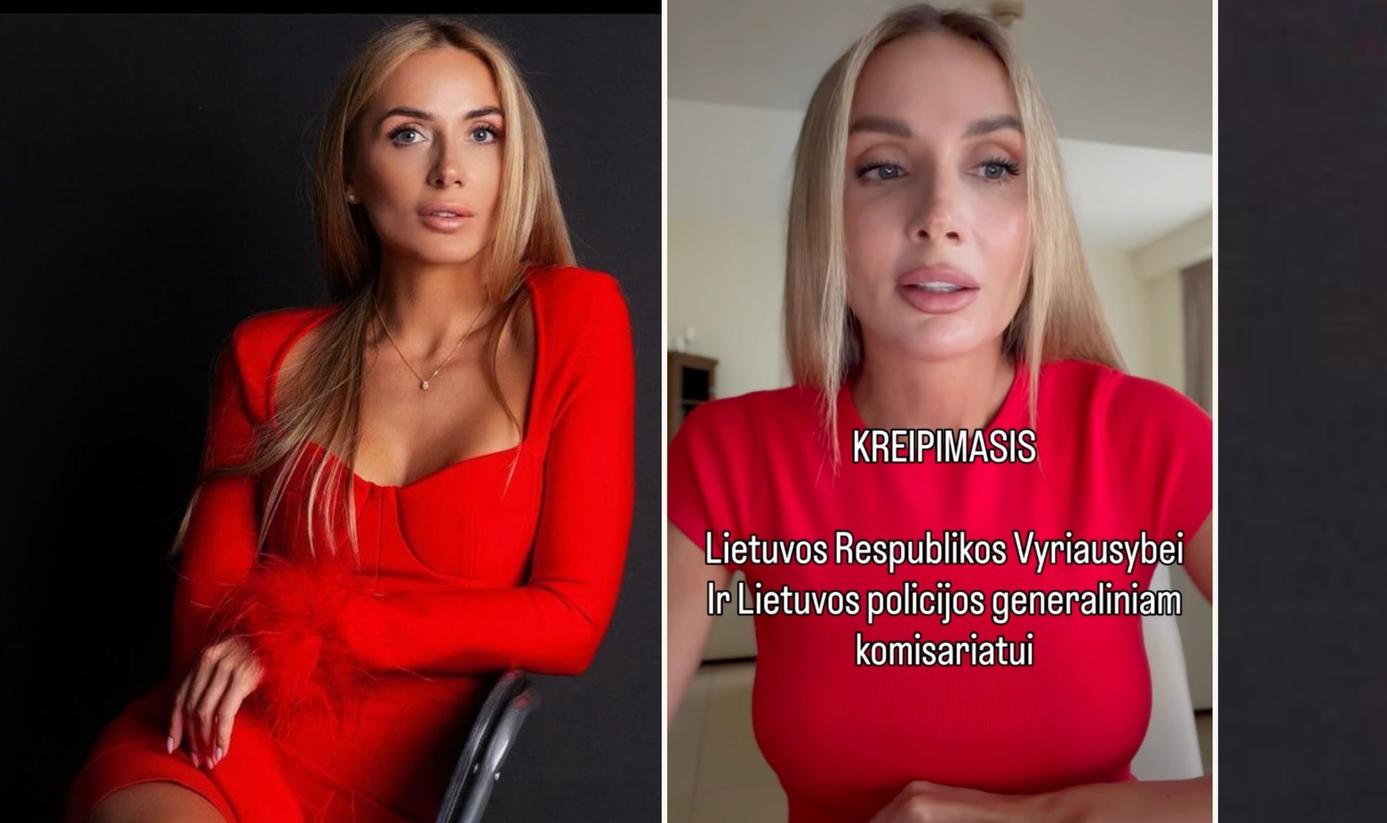 Užsipulta Monika Ra gavo policijos išvadas: esu šokiruota - Delfi veidai