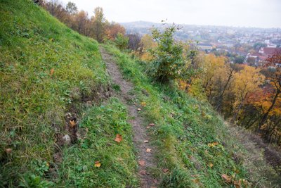 Trijų Kryžių kalnas