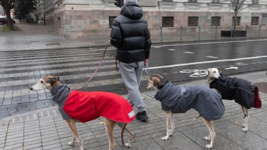 Niūrusis lapkritis pateisina savo vardą: prasidės ir nemalonūs orų reiškiniai 