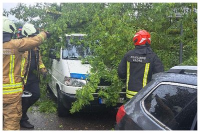 Klaipėdoje nušniokštęs lietus nulaužė medžio šaką