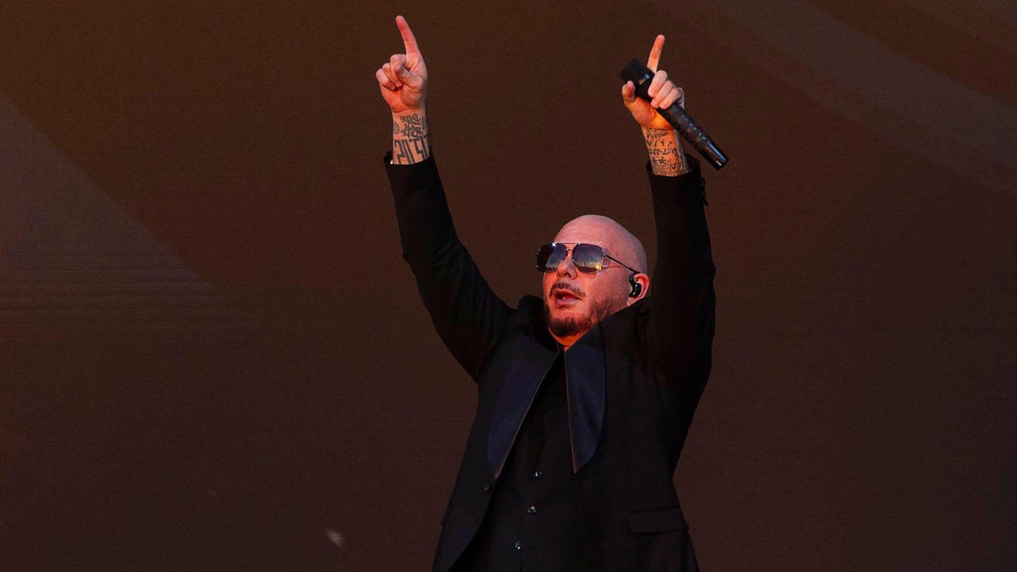 Woman Loses 260 Euros in Pitbull Ticket Scam in Lithuania