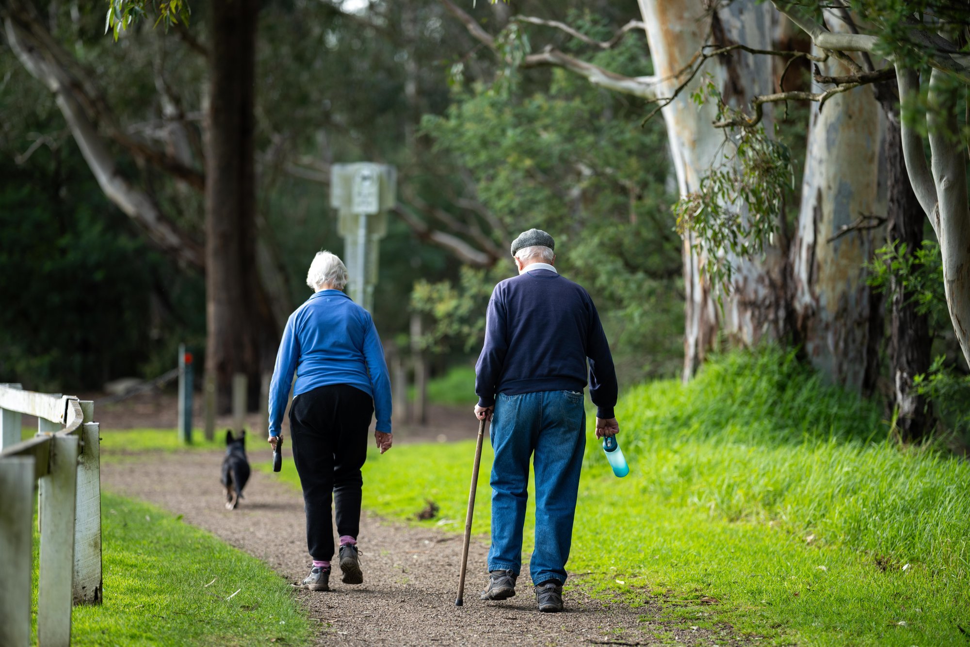 "Sodra" specialists explain if early retirement is worthwhile