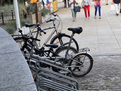 Palanga laukia Joninių