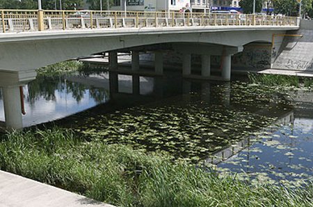 Į Nevėžio upę šiuo metu geriau nekišti kojos