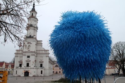 Kauno rotušės aikštėje montuojama Kalėdų eglė