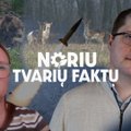 Noriu tvarių faktų. Ukrainos mokslininkė apie karo nusiaubtą šalies gamtą: šimtams rūšių gresia išnykimas