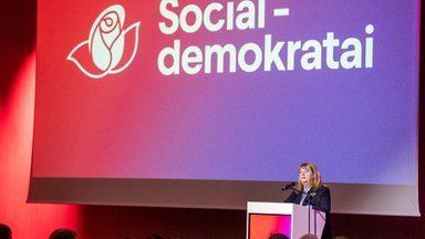LSDP tops public opinion polls, Homeland Union is second
