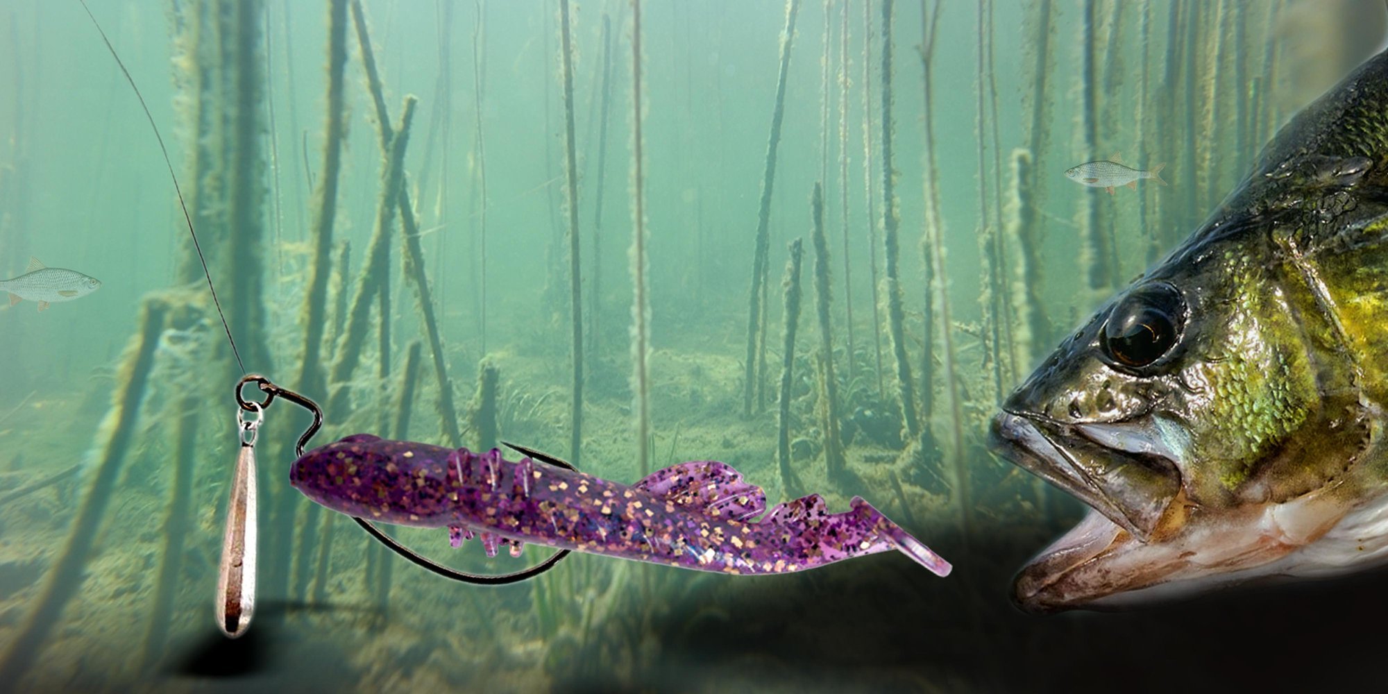 „Jig Rig“ – vaistas nuo nekibos? - Kablys.lt