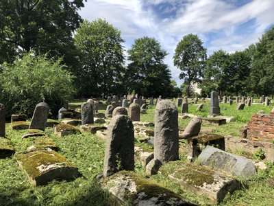 Biržų karaimų ir žydų kapinės (Žydų kultūros paveldo kelio asociacijos nuotr.)