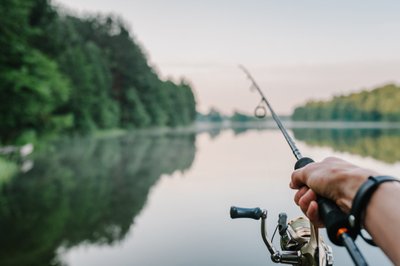 Tomas galėtų pradėti savaitgalį skirdamas valandą savo pomėgiui, kuris jam buvo lyg ir įdomus, bet vis numodavo ranka – „ai, ką čia ta valanda – niekas dėl to nepasikeis“.