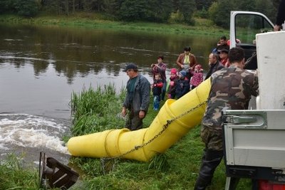 Nemuno įžuvinimo sterlėmis darbai