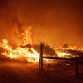 Los Andželo apygardoje kilo didžiulis gaisras: evakuoti šimtai žmonių