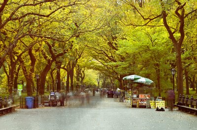 „The Mall“ alėja Niujorko Centriniame parke