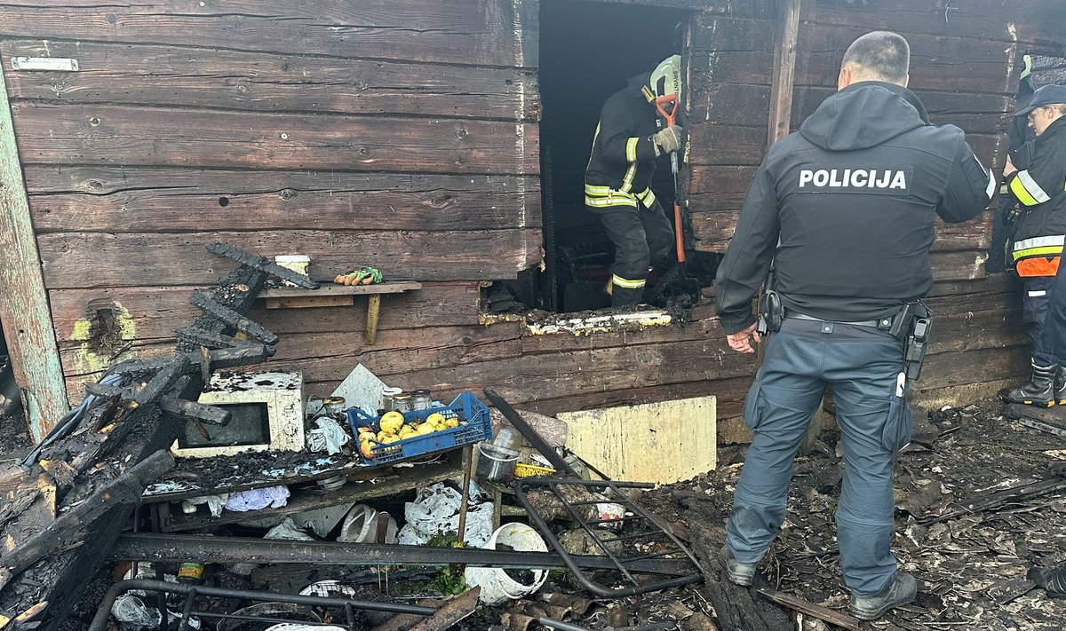 фото убитых девушек