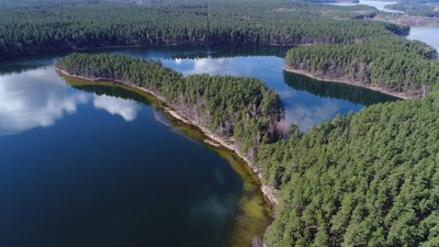 Ščiūro ragas (Aukštaitijos nacionalinio parko nuotr.)