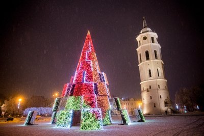 2020 metų eglė Katedros aikštėje