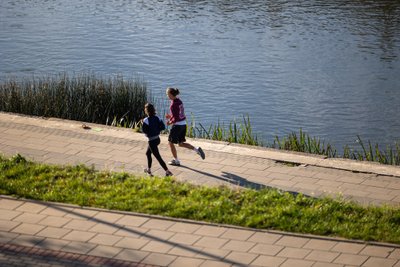 Rytas rudenėjančiame Vilniuje