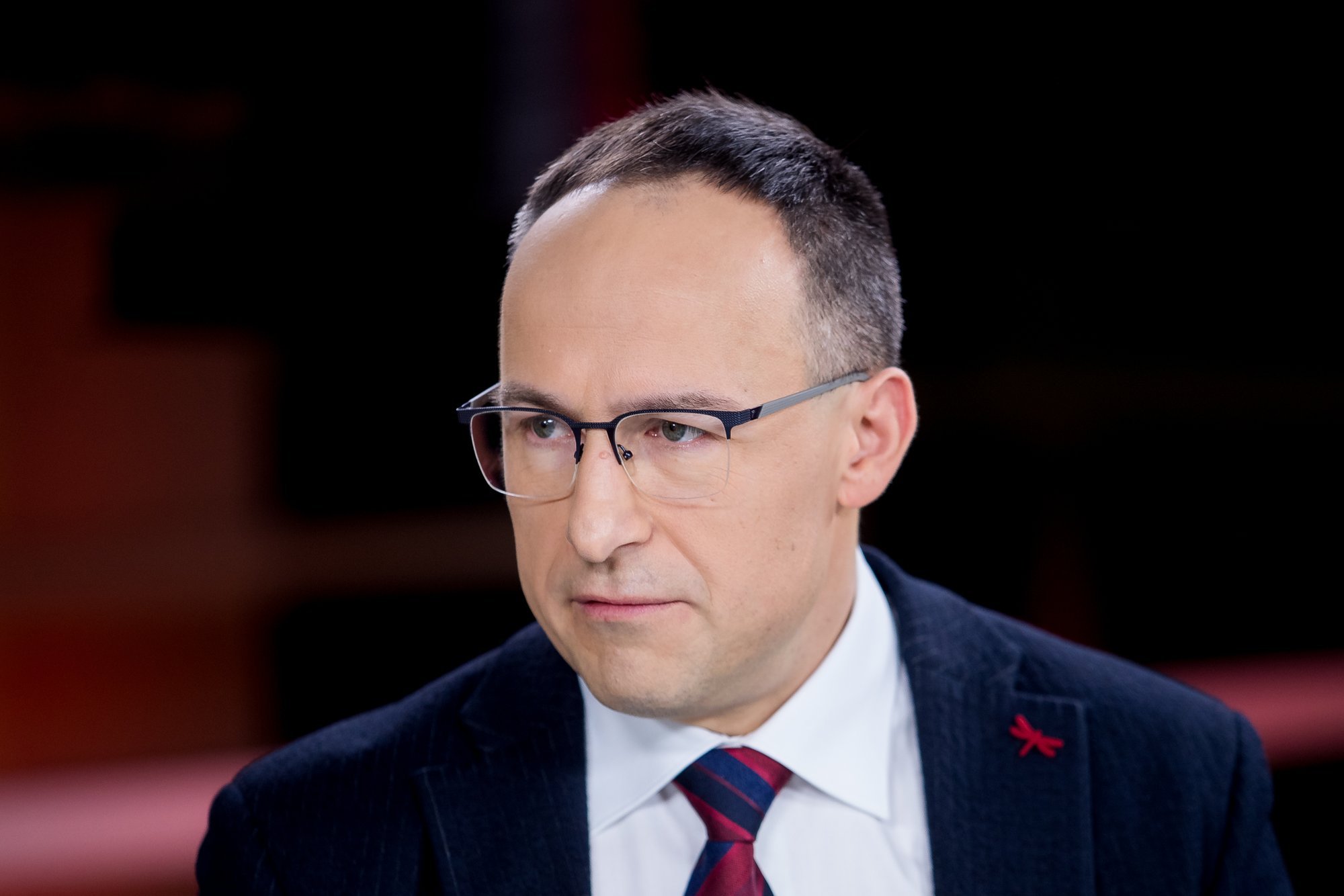 Vladimiras Laučius. What actually shames Lithuania in two elections ...