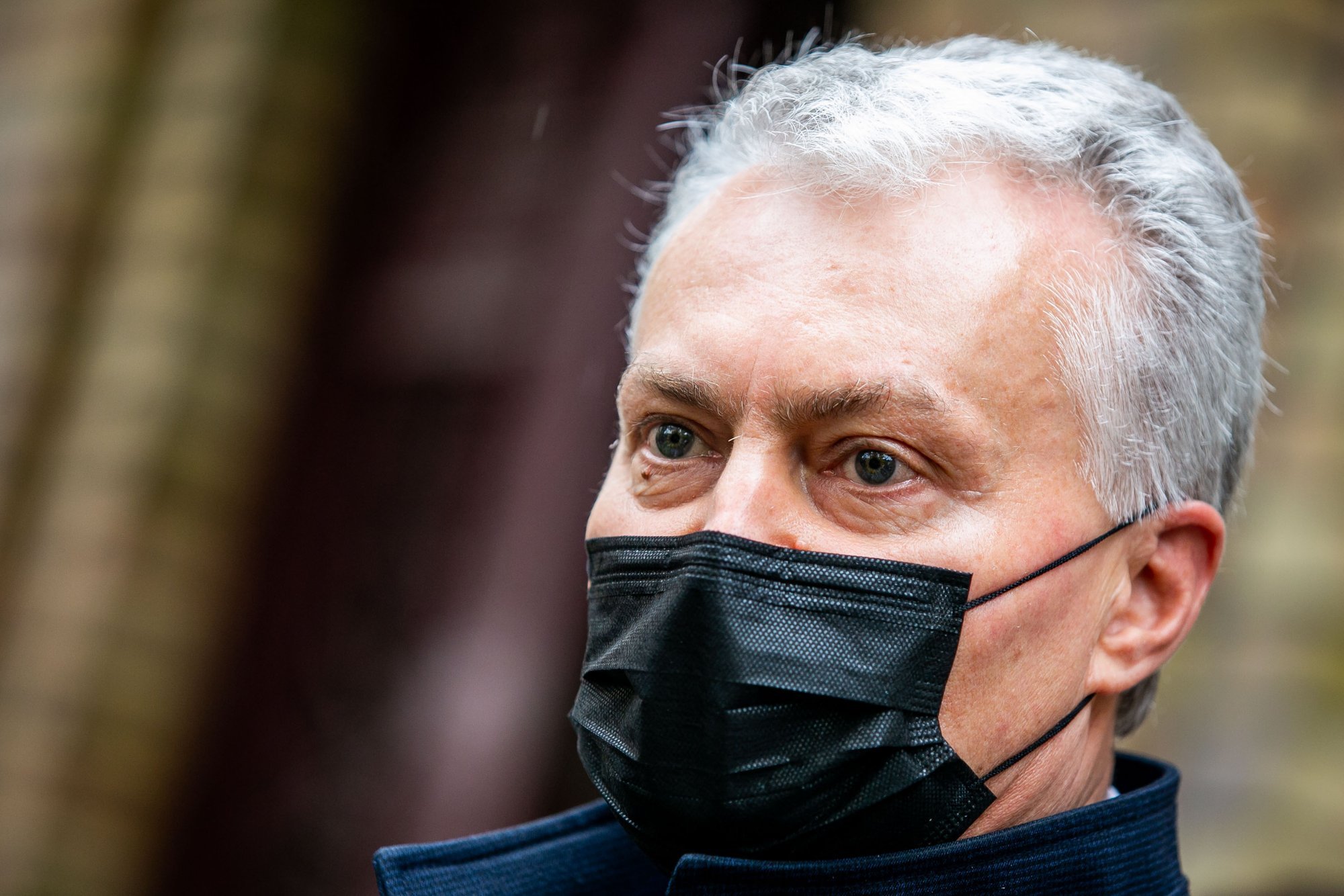 Nausėda condemns ex-speaker's remark about Tomasevski