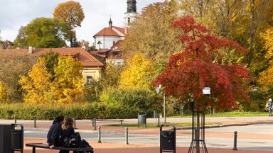 Savaitgalį tęsis maloniai rudeniški orai 