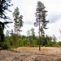 Antano Boso namas jau sulygintas su žeme: „Delfi“ fotografai užfiksavo, kaip viskas atrodo dabar