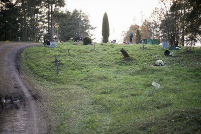 Karveliškių kapinių 110 sektorius, kur palaidotas A. Varnelis