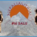 NEPALIAUTOJAI. 7 dienos be dušo, pirmasis vakarietiškas maistas ir prasidėjusi kelionė atgal