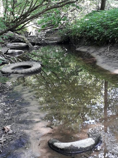 Marvelės upelis Kamšos botaniniame-zoologiniame draustinyje