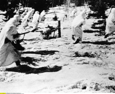 Žiemos karas 1939-1940 m.