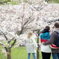 Tarp vasaros ir pavasario – temperatūra šalyje skiriasi net iki 18 laipsnių