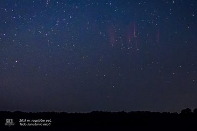  2019 m. vasarą dangaus fotografų bendruomenės „Sky Chasers LT“ įkūrėjas, fizikos mokytojas Tadas Janušonis užfiksavo raudonuosius kaukus Lietuvoje