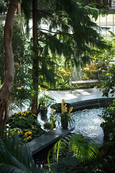 Kretingos Žiemos sodas