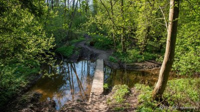 Kapitoniškių pažintinis takas