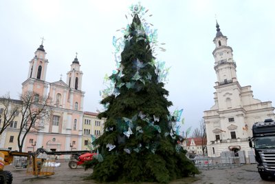 Baigiama puošti Kauno eglė