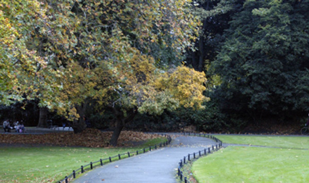 пьяные минет в парке