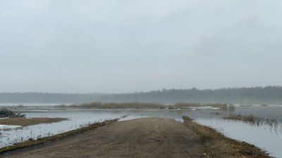 Sausgalviai – Žalgiriai