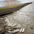 Gražiausiame Lietuvos kampelyje – itin nemalonus vaizdas