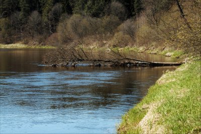 Šventoji balandžio antroje pusėje