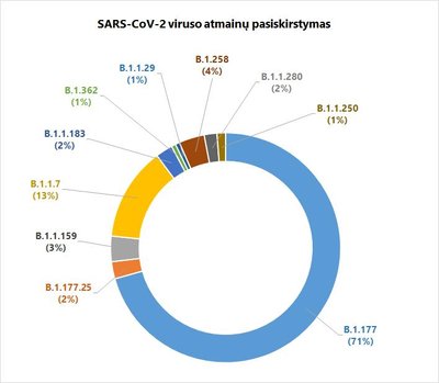 Infografikas