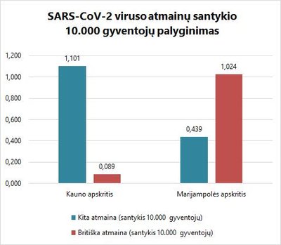 Infografikas