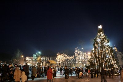 Vilnius, 2009 m. gruodžio 12 d. (ELTA). Valdo Kopūsto (ELTA) nuotr.