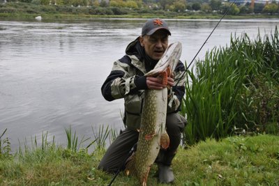 Romualdas Žilinskas su 2019 09 25 d. Neryje pagauta 9,7 kg, 1,07 m lydeka